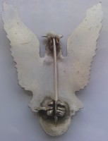 Badge Pilot 3rd class 