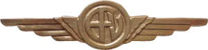 Badge Aircrew man 