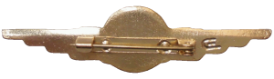 Badge Aircrew man 