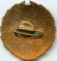 Badge  