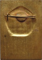 Нагрудный знак Пулевая стрельба, ДОСААФ, Судья 