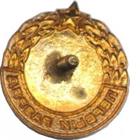 Нагрудный знак Первый разряд Шахматы  