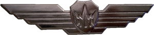 Нагрудный знак Оператор РЭБ 