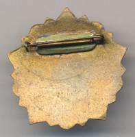 Badge  