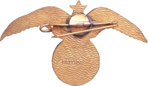 Нагрудный знак Сигнальщик 