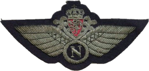 Нагрудный знак Штурман 