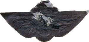 Badge Navigator 