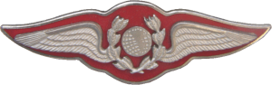 Badge Navigator 