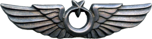 Badge Pilot 