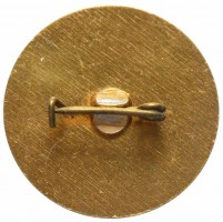 Нагрудный знак Белорусская ГРЭС 1930-1950 