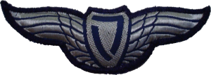 Нагрудный знак Пилот легкого летательного аппарата 