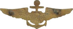 Нагрудный знак Пилот 