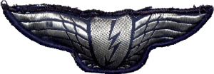 Нагрудный знак Бортовой радист 