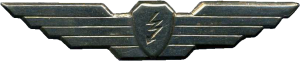 Badge Radioman 