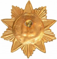 Badge  