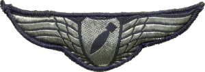 Нагрудный знак Бомбардир 