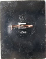 Нагрудный знак И. С. Тургенев 