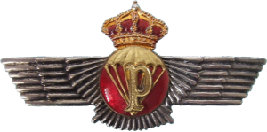 Badge Parachutist rigger 