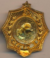Badge  