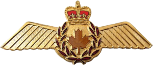 Badge Pilot 