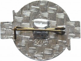 Нагрудный знак ВИЭСХ 