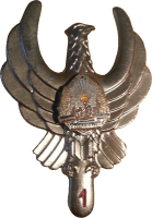 Badge Navigator 1st class 