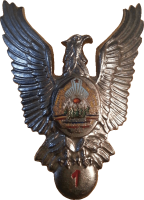 Badge Pilot 1st class 