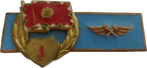 Badge Technician 1st class for enlisted 