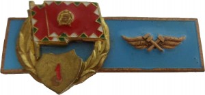 Badge Technician 1st class for enlisted 