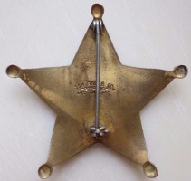 Badge Thunderbird security officer 