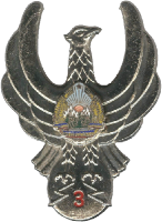 Нагрудный знак Радист 