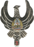 Нагрудный знак Штурман 3 класса 