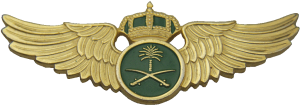Badge Pilot 