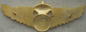 Нагрудный знак Пилот 