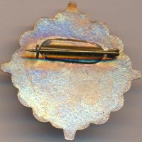 Badge  
