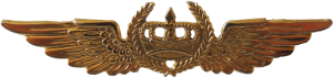 Badge Pilot 