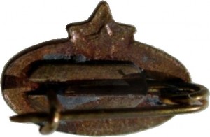 Badge  