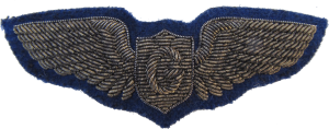Badge Glider pilot 