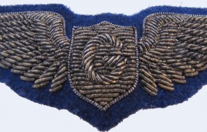 Badge Glider pilot 