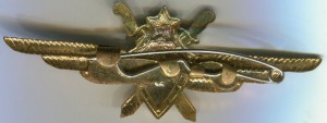Badge Pilot 1st class 