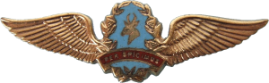 Нагрудный знак Пилот 
