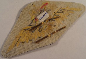 Badge Pilot 