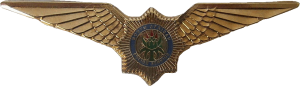 Нагрудный знак Пилот золотистый 