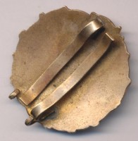 Нагрудный знак Парашютист отличник 