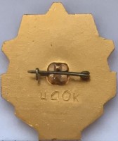 Badge DNEPR BATTLE 1943 