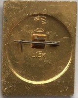 Нагрудный знак Горнолыжный спорт Инсбрук 1976 