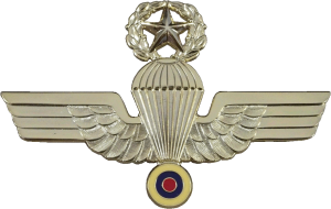 Badge Master parachutist 