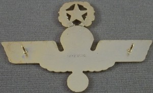 Badge Master parachutist 