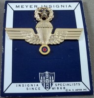 Badge Master parachutist 