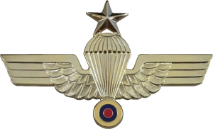 Badge Senior parachutist 